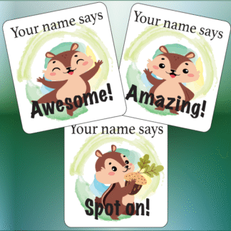 30mm Square Personalised Teacher Merit Stickers - Chipmunks