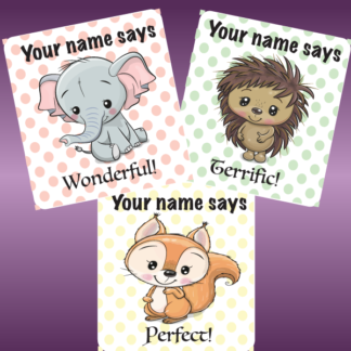 25mm Square Personalised Teacher Merit Stickers - dreamy animals