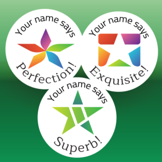 Teacher Merit Stickers - 25mm round cute upsized abstract stars